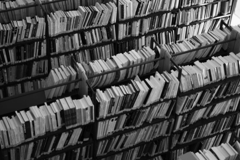 Prix de thèse de la Mmsh : campagne 2026