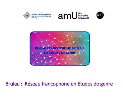 Réseaux thématiques Brulau