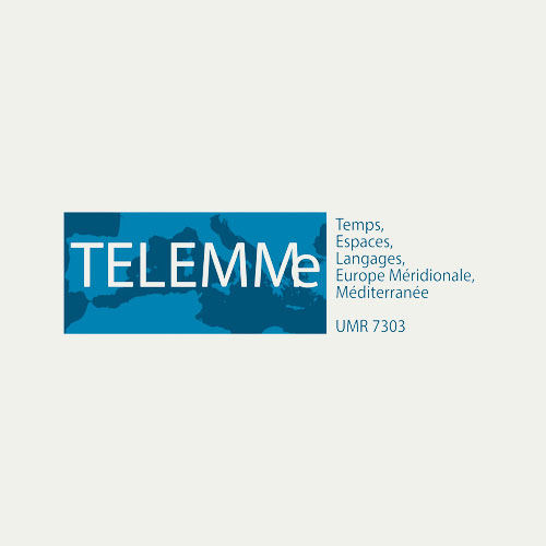 Logo TELEMMe avec fond gris